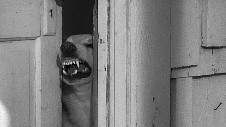 Nunca dejes de correr