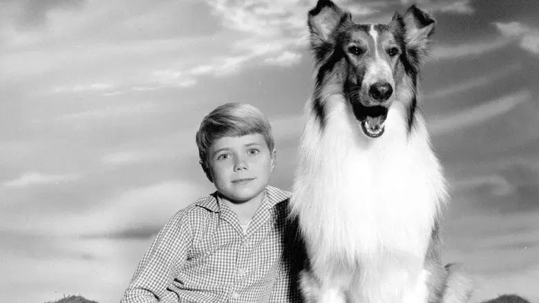 Lassie - Backdrop