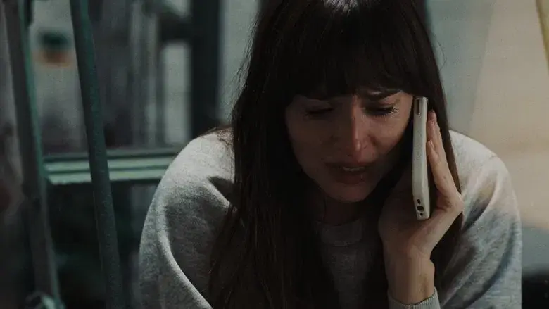 Materialistas - Fondo