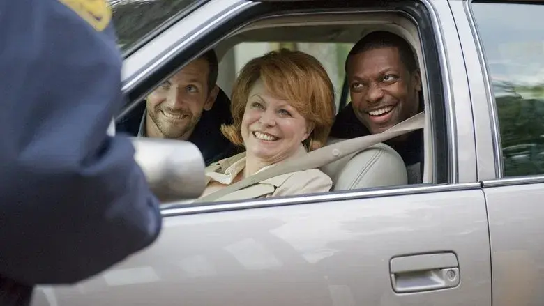 El lado bueno de las cosas - Fondo