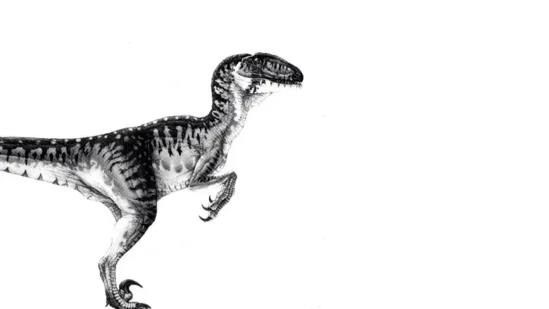 Jurassic Park (Parque Jurásico) - Fondo