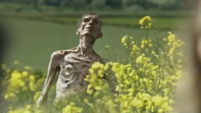 28 años después - Fondo