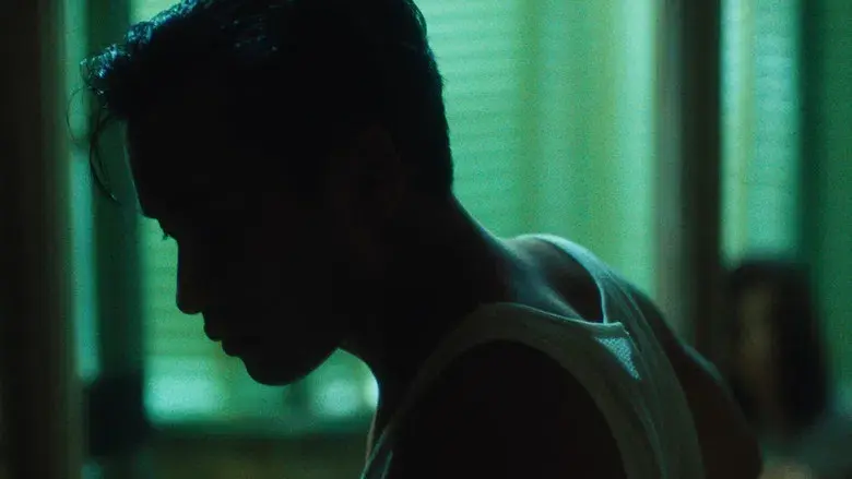 Días salvajes - Fondo