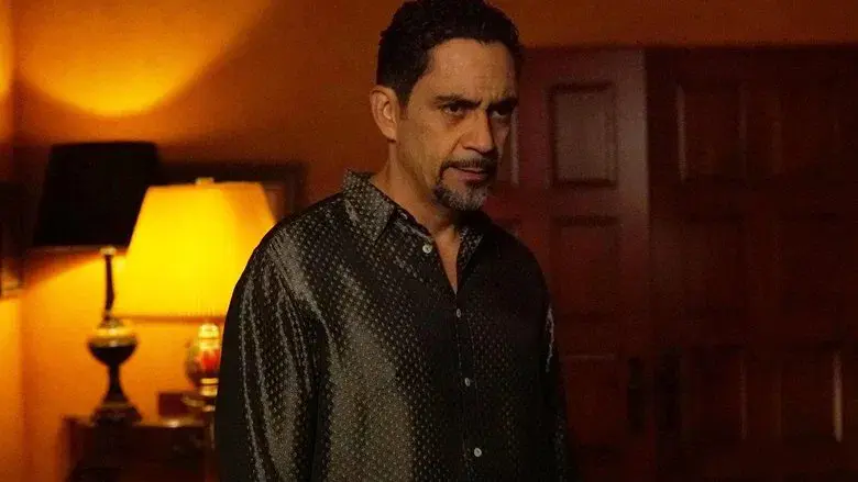 Historia de una cicatriz