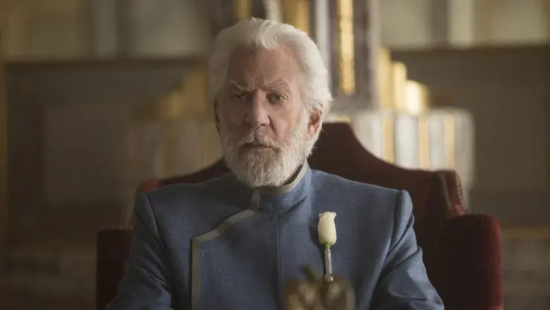 Los Juegos del Hambre: Sinsajo - Parte 2 - Fondo