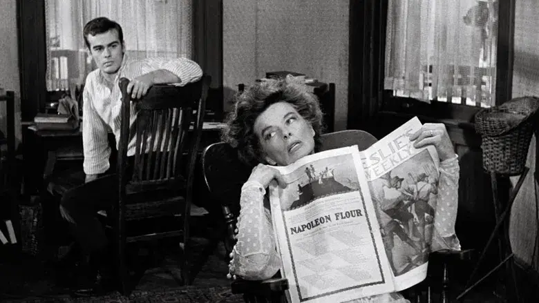 Larga jornada hacia la noche - Fondo