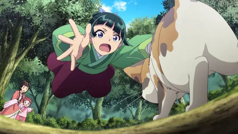 Los diarios de la boticaria - Fondo