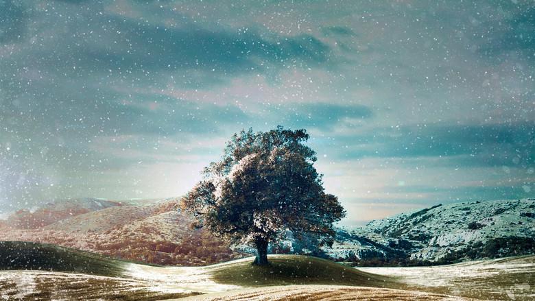 Who Do You Think You Are? - Fondo