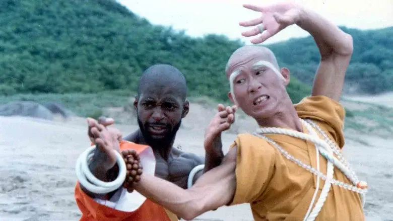 Shaolin Dolemite - Fondo