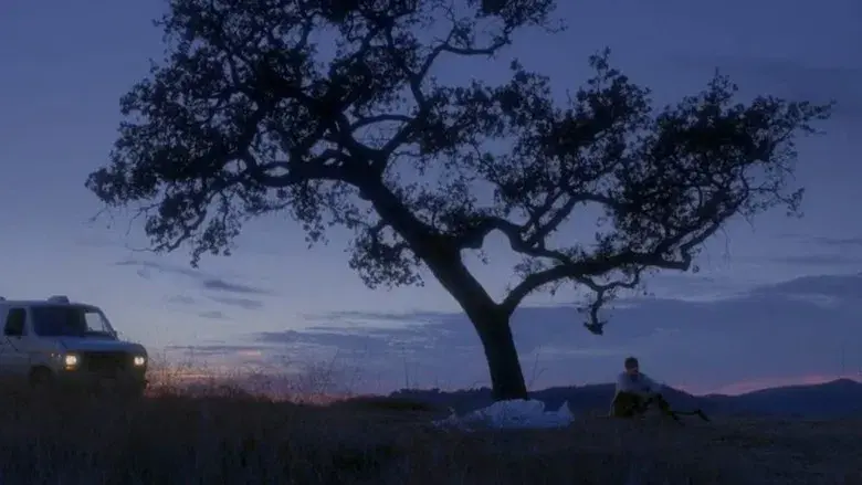 A dos metros bajo tierra - Fondo