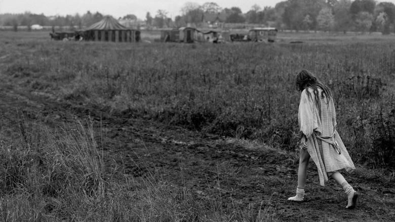 La chica de la aguja - Fondo