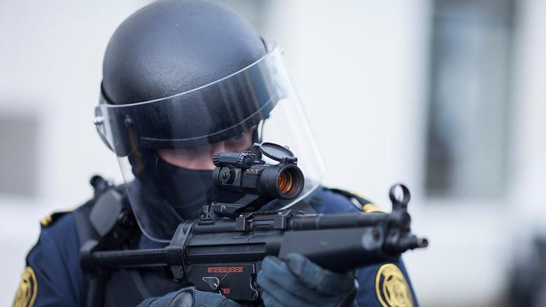 Reykjavík: Brigada policial - Fondo