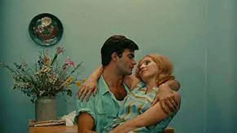 La felicidad - Fondo