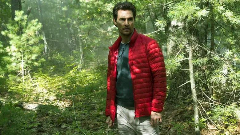 El bosque de los sueños - Fondo