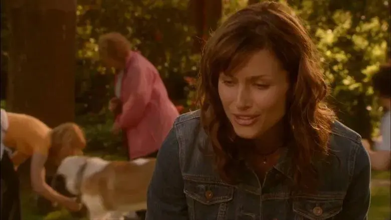 Los líos de Gray - Fondo