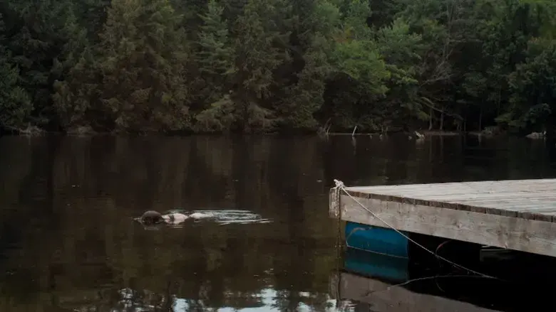 De naturaleza violenta - Fondo