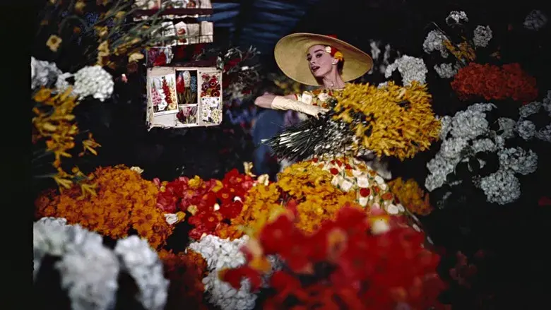 Una cara con ángel - Fondo