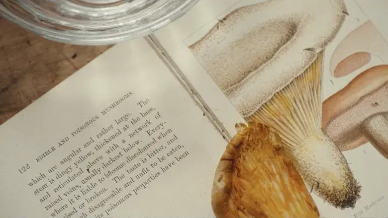 El hilo invisible - Fondo