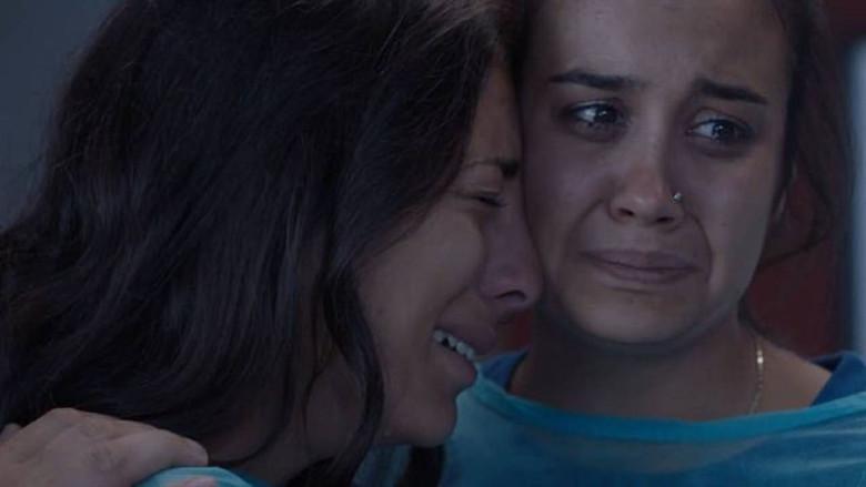 Episodio 773