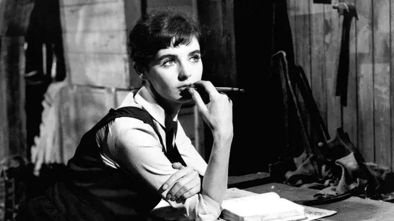 El diario de Ana Frank - Fondo