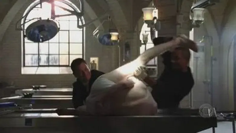 Sangre, sudor y lágrimas