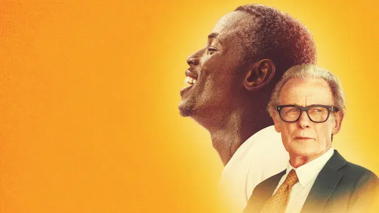 El juego bonito - Fondo