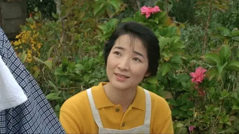 男はつらいよ　ぼくの伯父さん - Fondo