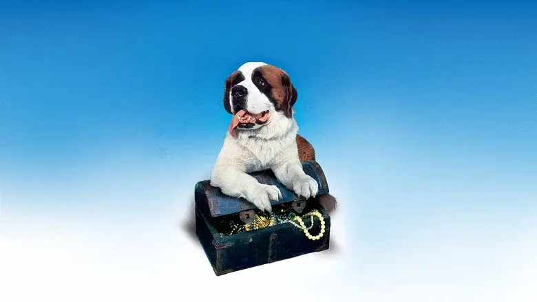 Mi perro el ladrón - Fondo