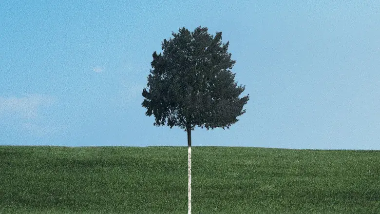 A dos metros bajo tierra - Fondo