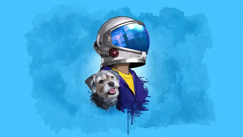 Wonder - Fondo