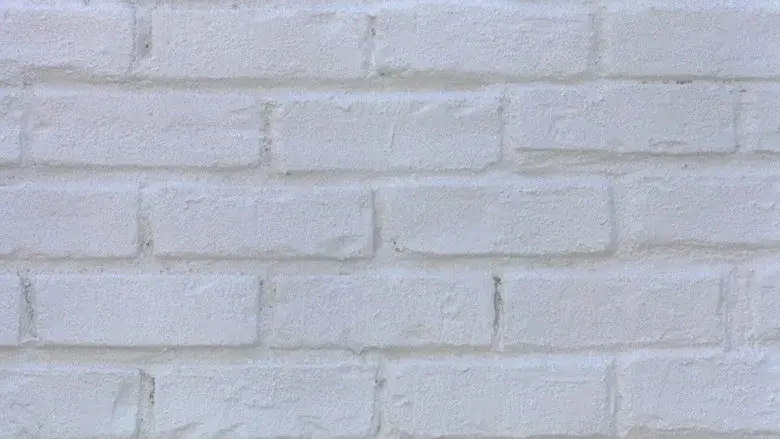 Borrón y cuenta nueva - Fondo