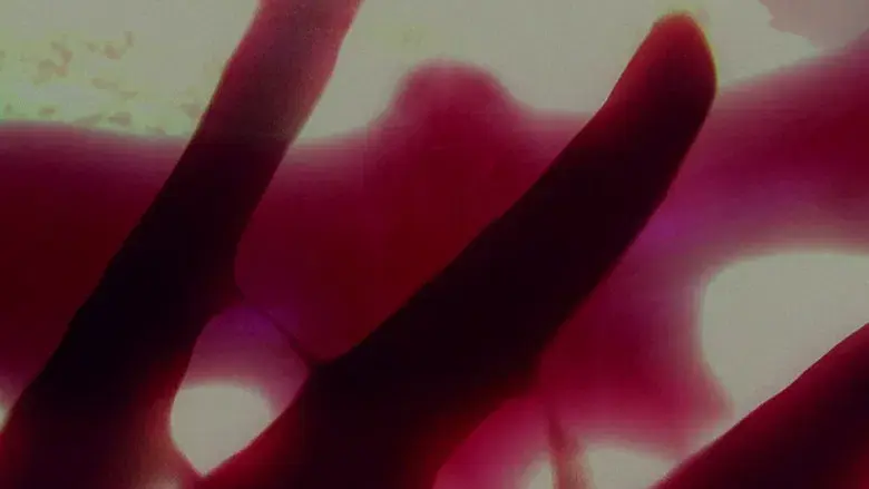 Mothman, la última profecía - Fondo