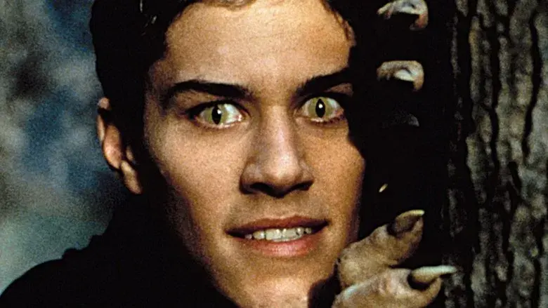 Big Wolf on Campus - Backdrop