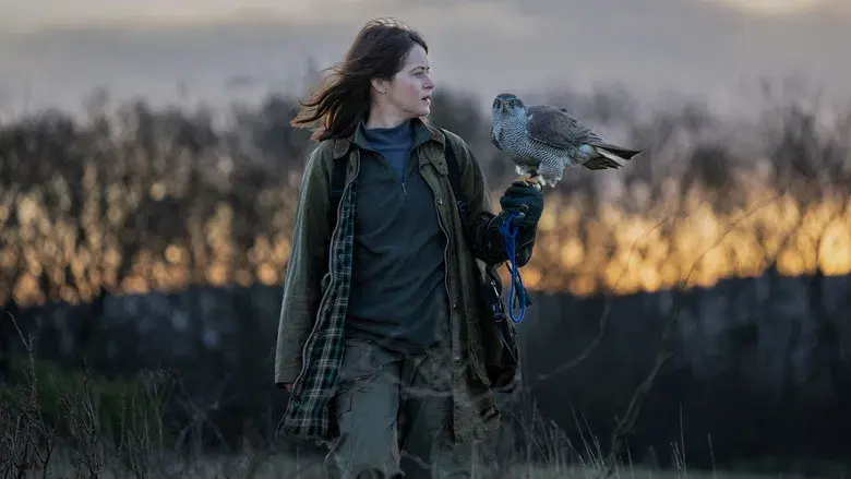 H Is for Hawk - Fondo