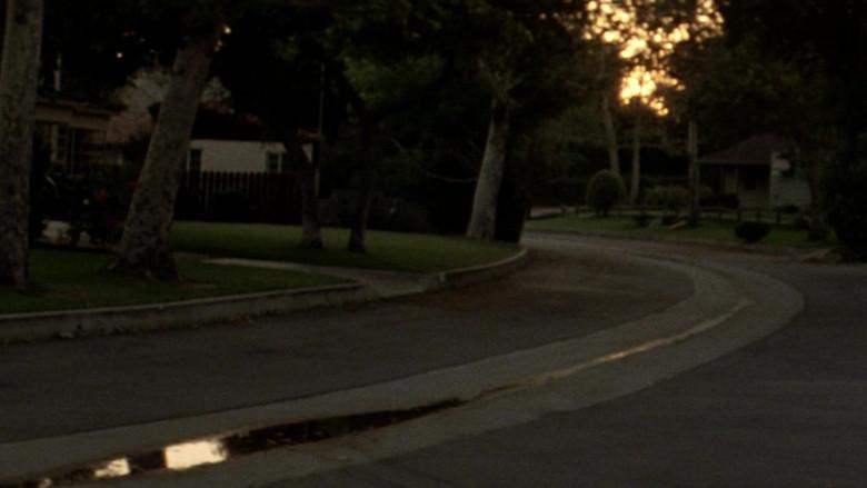 La noche de Halloween - Fondo