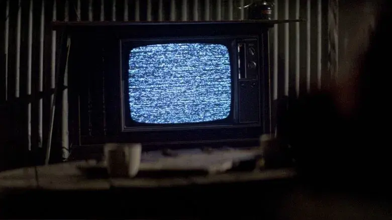 Están vivos - Fondo