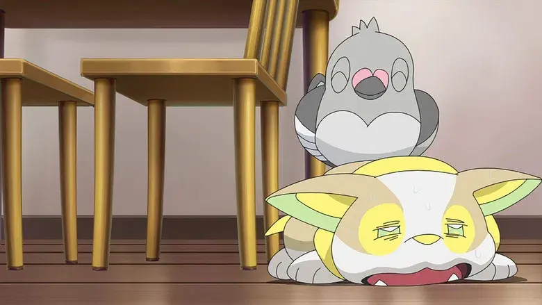 ¡Nuevo compañero en la ciudad!