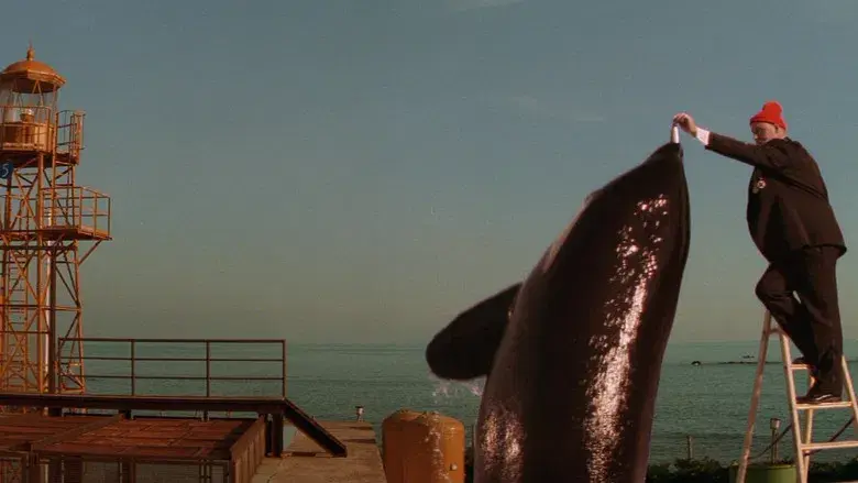 Life Aquatic - Fondo