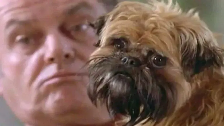 Mejor... imposible - Fondo