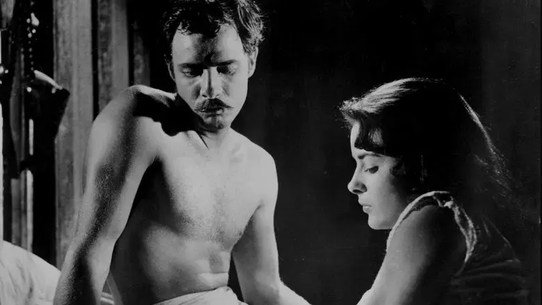 ¡Viva Zapata! - Fondo