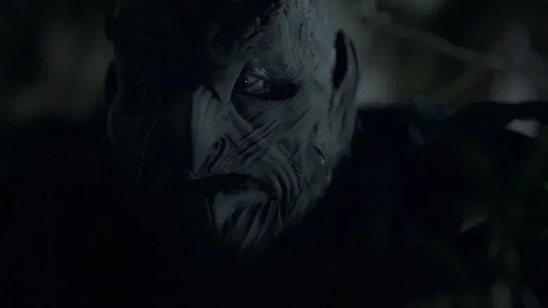 Winnie the Pooh 2: El bosque sangriento - Fondo