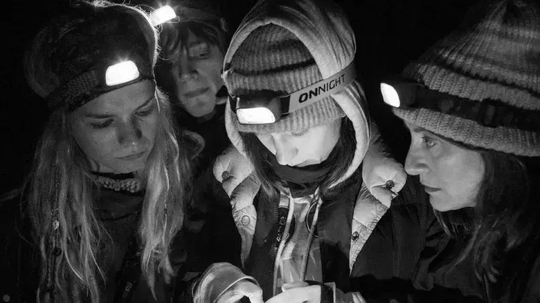 Green Border - Fondo