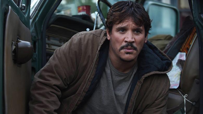 Que vuelen los pájaros