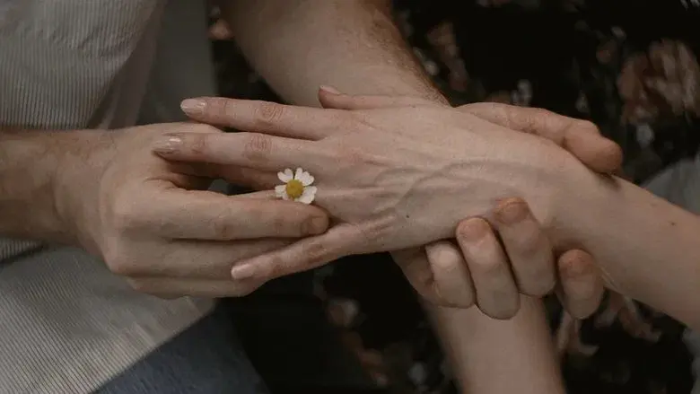 Materialistas - Fondo