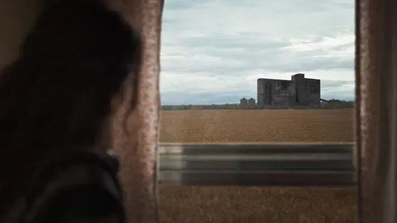 Cosecha sangrienta - Fondo