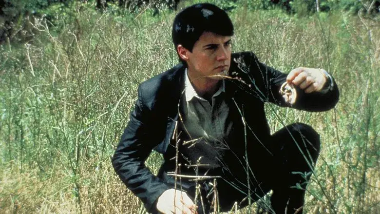 Terciopelo azul - Fondo