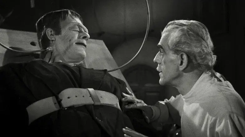 La zíngara y los monstruos (La mansión de Frankenstein) - Fondo