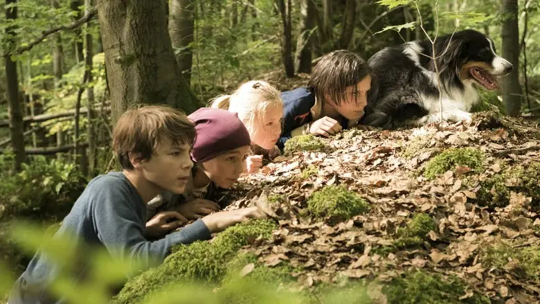 Los cinco y el valle de los dinosaurios - Fondo