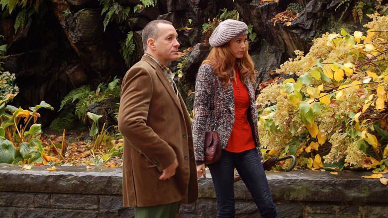 A Novel Romance - Fondo