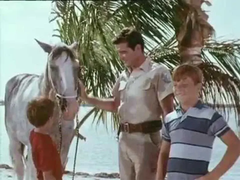 Episodio 12